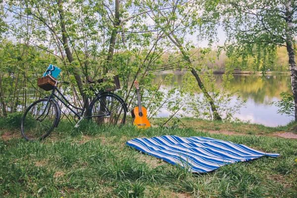 Long shot of a summer picnic in the woods on a blurred backgroun