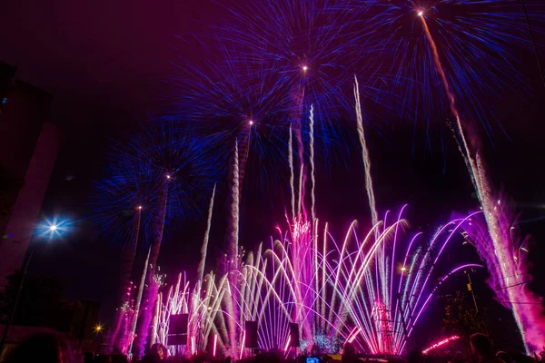 Fogos de artifício festivos azuis e roxos em um fundo preto. Abstrac. Fotos De Bancos De Imagens Sem Royalties