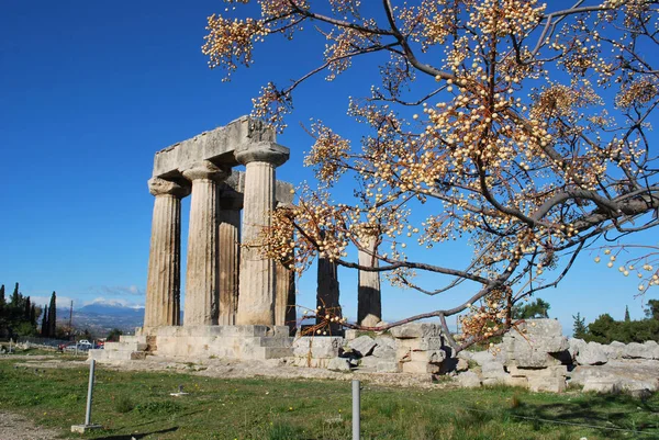 Templo Apollo Corinto Grécia — Fotografia de Stock