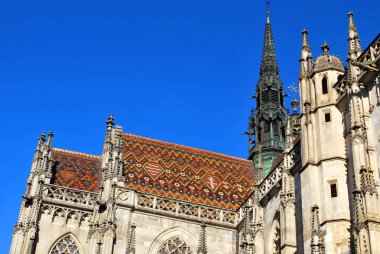 Cathedral St. Elisabeth Kosice, Slovakya