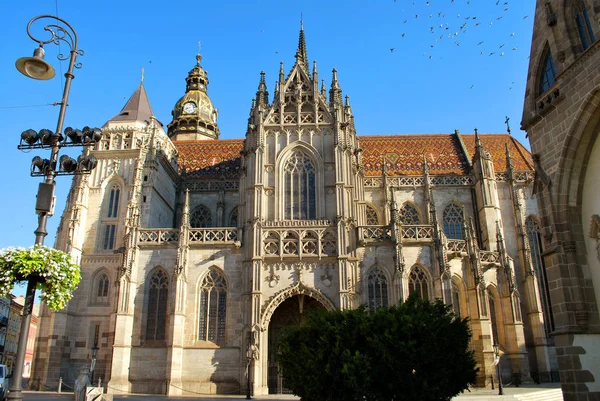 Die kathedrale der heiligen elisabeth in kosice, Slowakei — Stockfoto