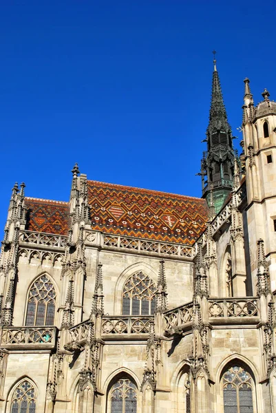 Die kathedrale der heiligen elisabeth in kosice, Slowakei — Stockfoto