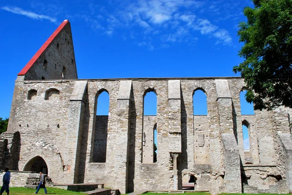 Tallinn, Estónia - 21 de Julho de 2012: Ruínas do Conv. — Fotografia de Stock