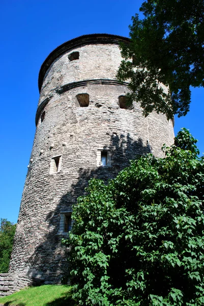 De weergave van het oude historische centrum van Tallinn, Estland — Stockfoto