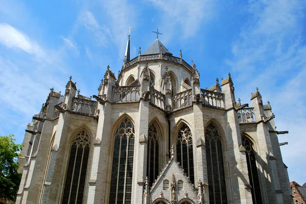 位于鲁汶历史市中心的圣彼得教堂, — 图库照片