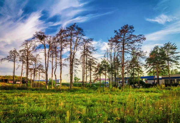 Mavi gökyüzü ile yaz gününde şehir manzara