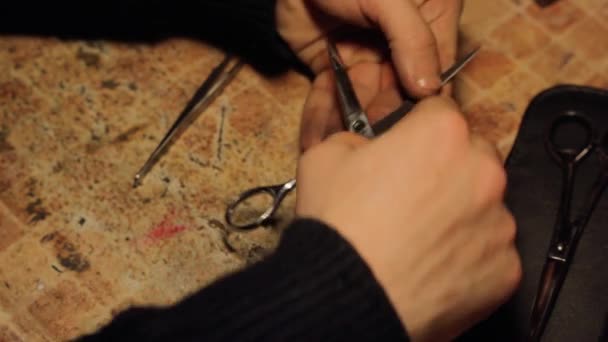 Декомпозиція Безкоштовна Заточка Рук Професійні Перукарські Ножиці Змащування Змащування Створення — стокове відео