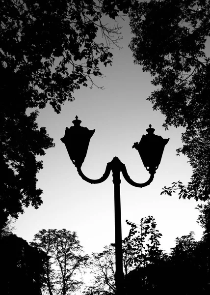 Şehir parkında 19. Siyah beyaz