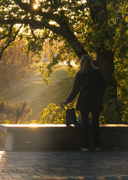 Summer or early autumn park at sunset