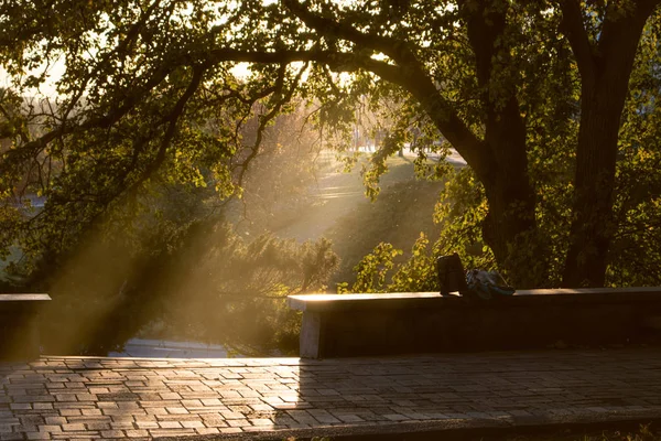 Summer or early autumn park at sunset