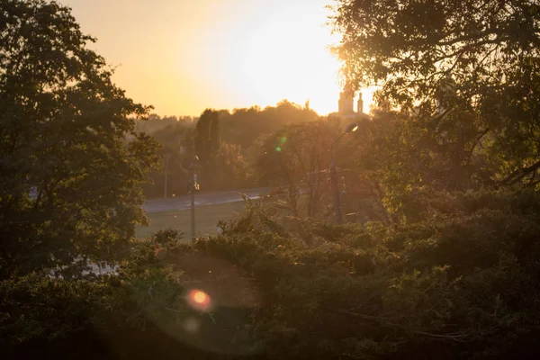 Summer or early autumn park at sunset