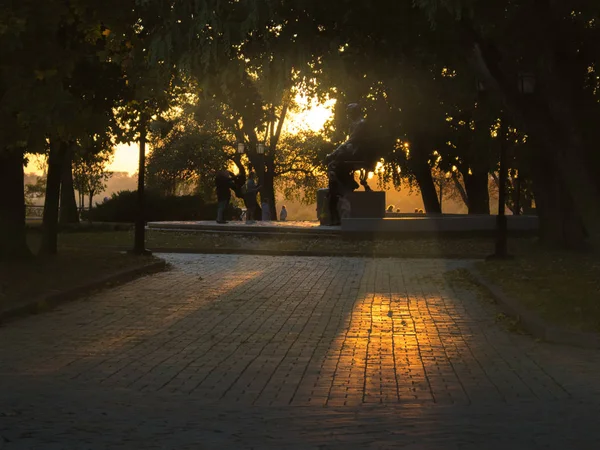 Summer or early autumn park at sunset