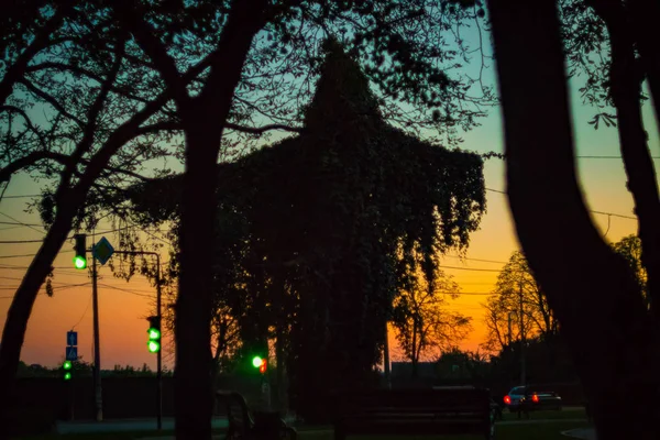 Summer or early autumn park at sunset