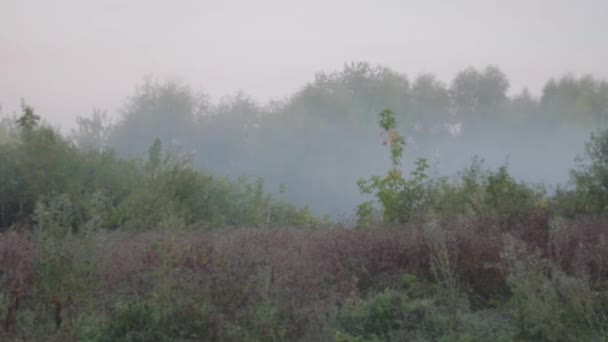 Handhållen panna runt fältet på hösten morgon dimma i gryningen — Stockvideo