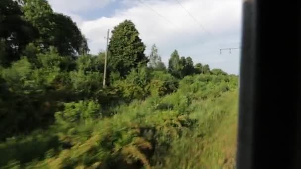 Images de la vue à travers la fenêtre du déplacement du train de banlieue en été — Video