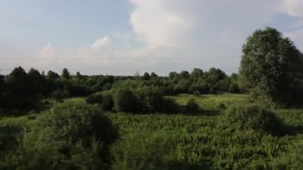 Filmación de la vista a través de la ventana del tren suburbano en movimiento en verano — Vídeos de Stock