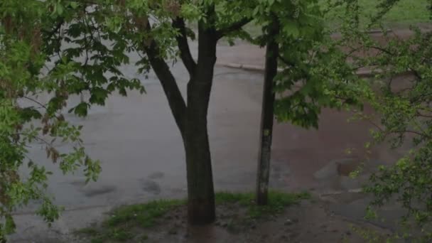 Coches pasando por la acera bajo la lluvia — Vídeos de Stock