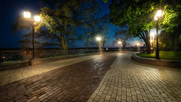 Gece geç saatlerde boş şehir parkı manzarası aydınlatma direkleriyle ve tuğla yollarla