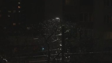Geceleri yağan şiddetli kar, tatillerde sokak lambasının yanında parlıyor.