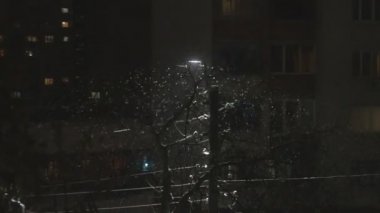 Geceleri yağan şiddetli kar, tatillerde sokak lambasının yanında parlıyor.
