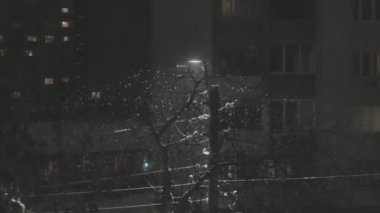 Geceleri yağan şiddetli kar, tatillerde sokak lambasının yanında parlıyor.