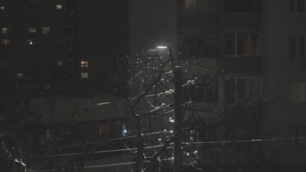 Heavy snow falling at night glitters near street lamp at the holidays in town — Stock Video