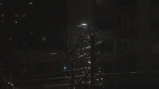 Nieve pesada cayendo por la noche brilla cerca de la lámpara de calle en las vacaciones — Vídeo de stock