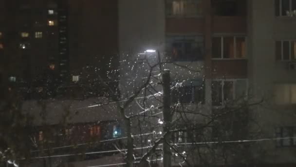 Zware sneeuwval 's nachts glitters in de buurt van straatlamp op de feestdagen — Stockvideo