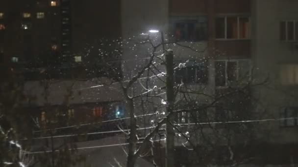 Neve pesada caindo à noite brilha perto da lâmpada de rua nas férias — Vídeo de Stock