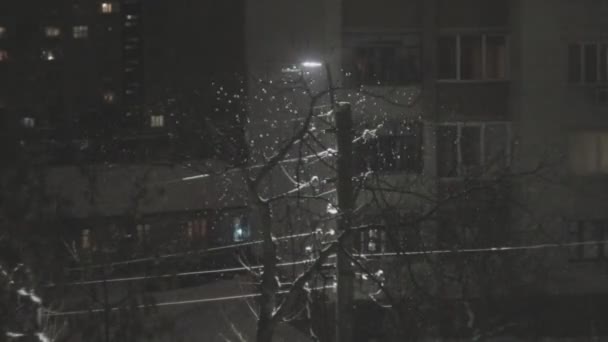 Heavy snow falling at night glitters near street lamp at the holidays — Stock Video