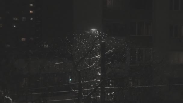 Nieve pesada cayendo por la noche brilla cerca de la lámpara de calle en las vacaciones — Vídeos de Stock