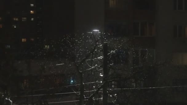 Nieve pesada cayendo por la noche brilla cerca de la lámpara de calle en las vacaciones — Vídeos de Stock