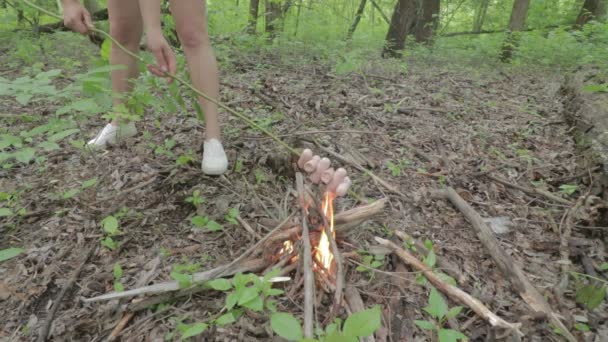 Menina assando salsichas no pau na fogueira em uma floresta de primavera — Vídeo de Stock