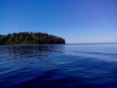 Güçlü ağaçlar Valaam adasının sahilleri büyümeye. Harika adanın Valaam göl Lodozhskoye, Karelya üzerinde yer alır. Balam - cennete bir adım.
