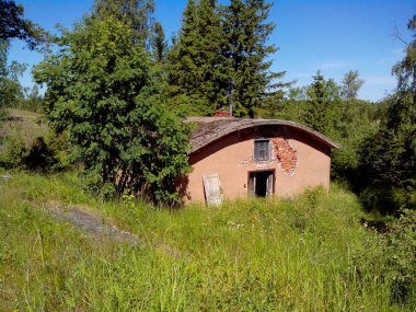 Güçlü ağaçlar Valaam adasının sahilleri büyümeye. Harika adanın Valaam göl Lodozhskoye, Karelya üzerinde yer alır. Balam - cennete bir adım.