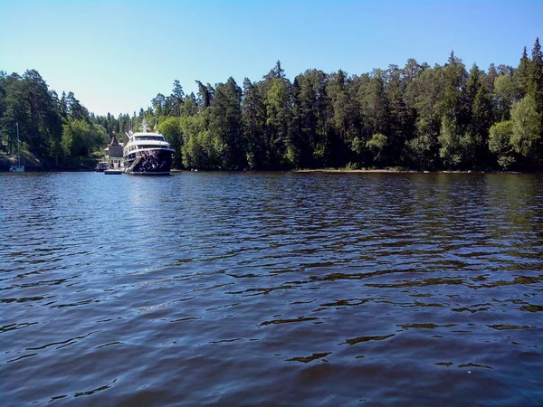 Mäktiga träd växer längs stranden av Valaam ö. Den underbara ön Valamo ligger vid sjön Lodozhskoye, Karelen. Bileam - ett steg till himlen. — Stockfoto