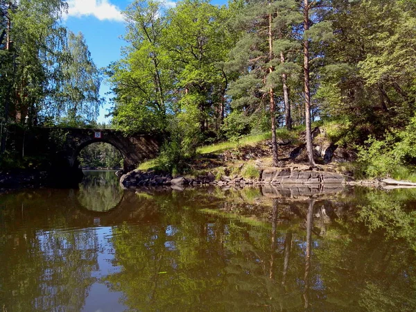 Machtige bomen groeien langs de oevers van Valaam eiland. Het prachtige eiland dat Valaam is gelegen aan Lake Lodozhskoye, Karelië. Bileam - een stap naar de hemel. — Stockfoto