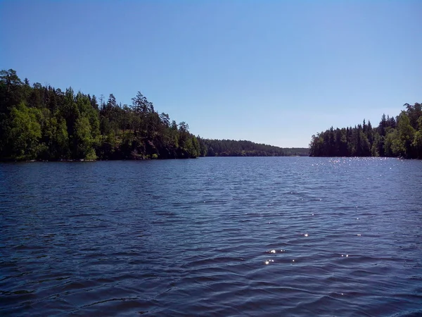 Pohon-pohon besar tumbuh di sepanjang pantai Pulau Valaam. Pulau Valaam terletak di Danau Lodozhskoye, Karelia. Bileam - selangkah ke surga . — Stok Foto