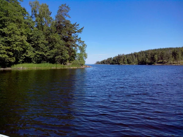 Mohutné stromy rostou podél pobřeží ostrova Valaam. Nádherný ostrov, Valaam se nachází na jezeře Lodozhskoye, Karélie. Balám - krok do nebe. — Stock fotografie