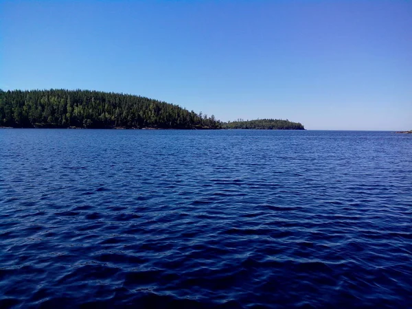 Grandes árboles crecen a lo largo de las orillas de la isla de Valaam. La maravillosa isla Valaam se encuentra en el lago Lodozhskoye, Karelia. Balaam - un paso al cielo . —  Fotos de Stock