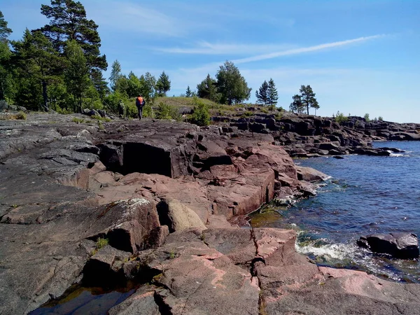 Poderosas árvores crescem ao longo das margens da ilha de Valaam. A maravilhosa ilha Valaam está localizado no Lago Lodozhskoye, Carélia. Balaão - um passo para o céu . — Fotografia de Stock