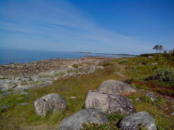 Kusten av vita havet på den norra delen av Bolshoy Solovetskij ön i soliga sommardag, Solovetskij skärgård, Ryssland. — Stockfoto