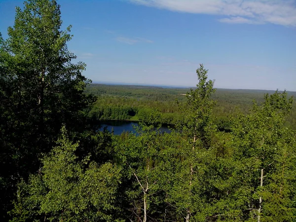 Coast of White Sea on the northern part of Bolshoy Solovetsky Island in summer sunny day, Solovetsky archipelago, Russia. — Stock Photo, Image