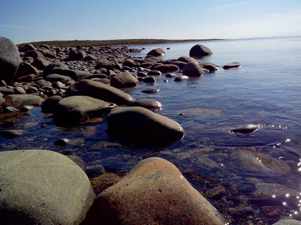 Costa do Mar Branco na parte norte da Ilha Bolshoy Solovetsky no dia ensolarado de verão, arquipélago de Solovetsky, Rússia . — Fotografia de Stock