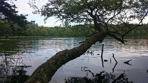 Синє небо та синє озеро влітку. Білі хмари відбиваються у воді. Знаменитий Селігер озера. Росія. — стокове фото