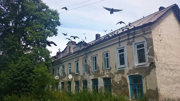 Vogels vliegen in de horror van een verlaten stenen huis, Rusland. — Stockfoto