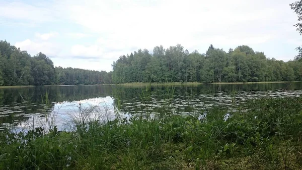 Modrá obloha a modré jezero v létě. Bílá oblaka se odráží ve vodě. Slavné jezero Seliger. Rusko. — Stock fotografie