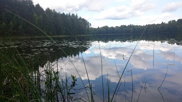Γαλάζιο ουρανό και γαλάζια λίμνη το καλοκαίρι. Λευκά σύννεφα αντικατοπτρίζεται στο νερό. Η περίφημη Βασιλική του Αγίου Πέτρου. Ρωσία. — Φωτογραφία Αρχείου