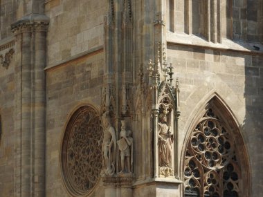 Viyana, Avusturya güzel bir sonbahar gününde Aziz Stephan Katedrali.