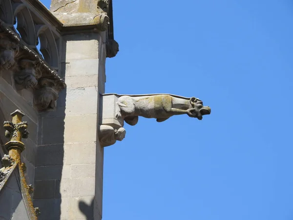 Fragments of the walls and gargoyles of the Catholic Cathedral in France, the city of Carcassonne. — Stock Photo, Image